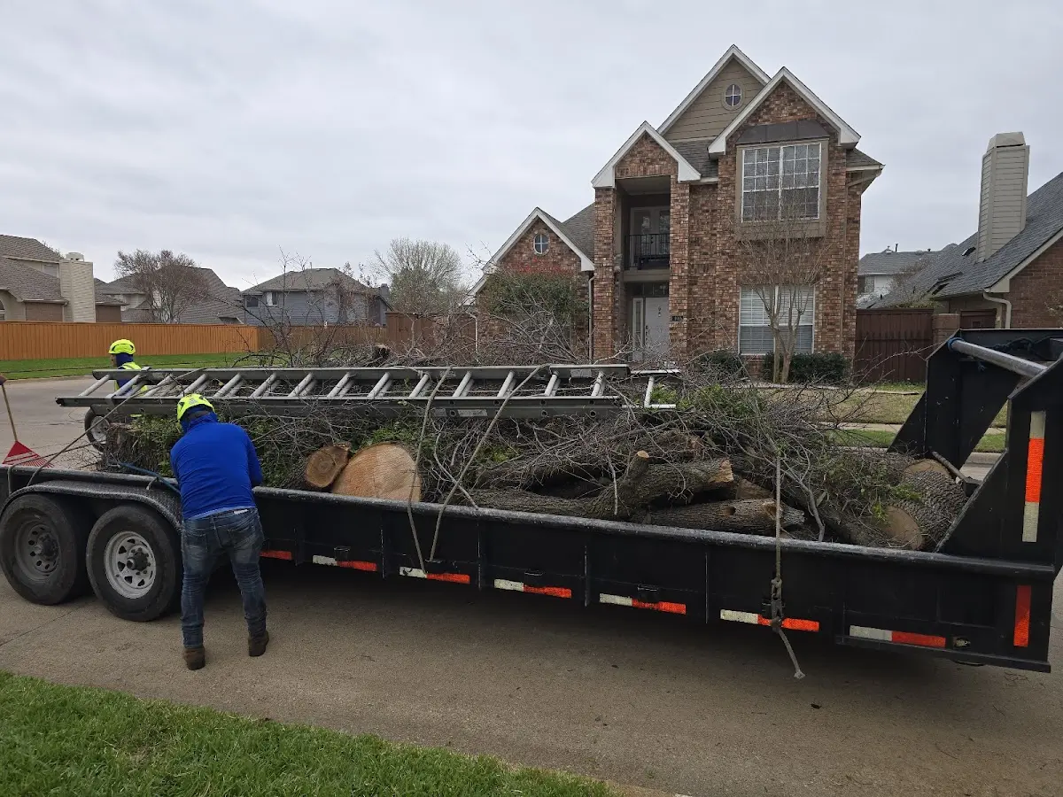 Expert Lot Clearing with proper safety equipment in Le Roy